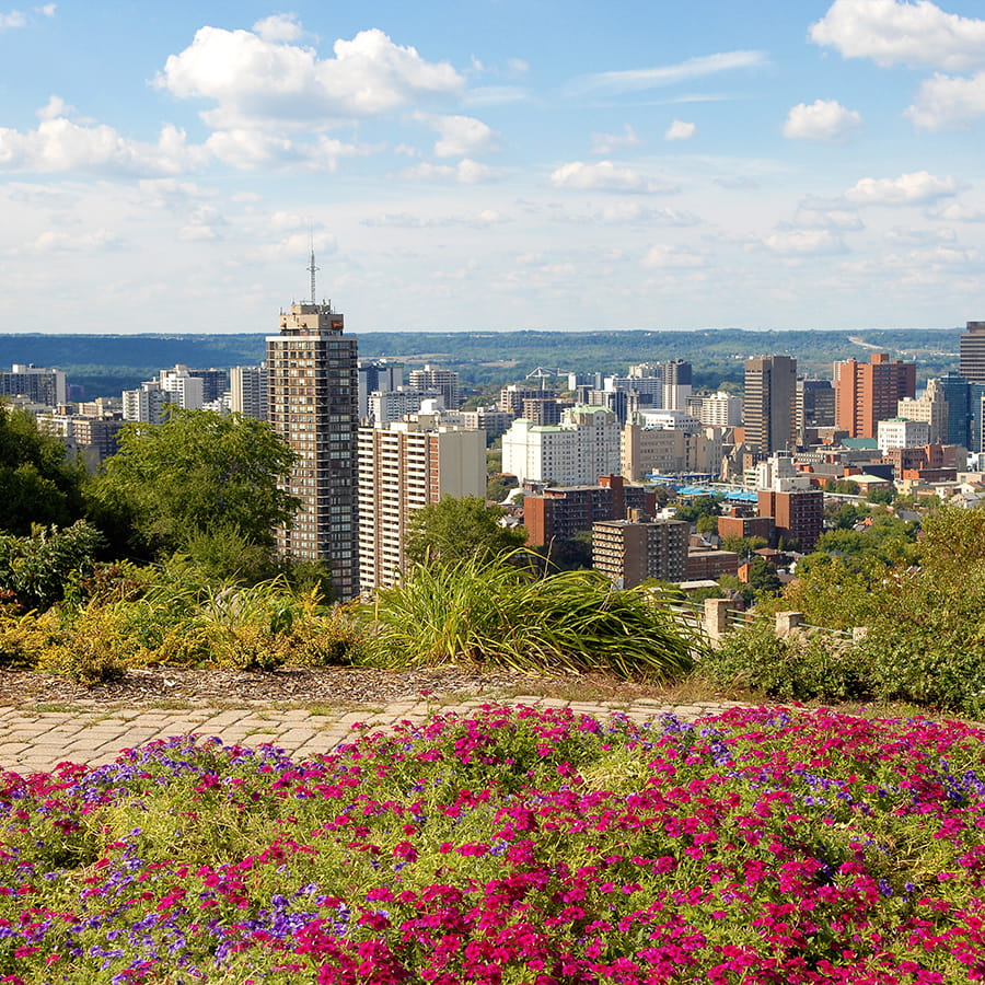 Toronto Real Estate - Navneet Bhasin, REALTOR®